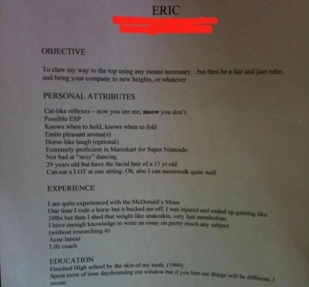 22 Hilarious Resumes And Job Applications Funcage