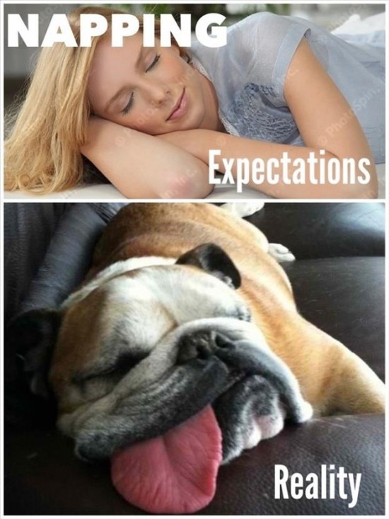 The Best Of Expectations Vs Reality 23 Photos Funcage