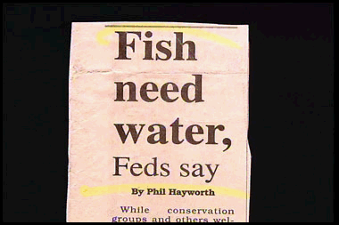 fish need water