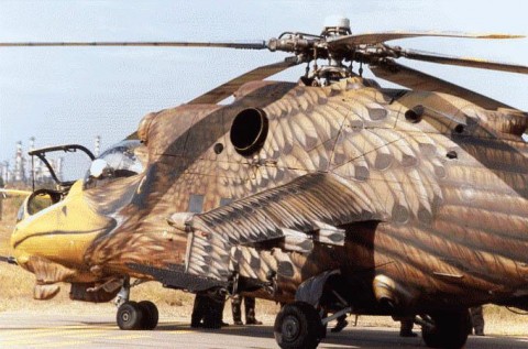 afganistan-bird-helicopter