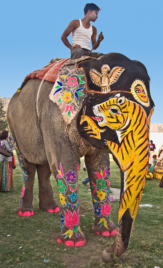 Parade of Elephants in India (11 Photos) - FunCage