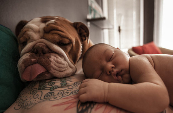 25 Babies And Dogs That Will Make Your Day 013