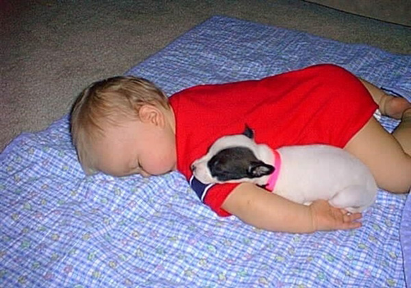 25 Babies And Dogs That Will Make Your Day 015