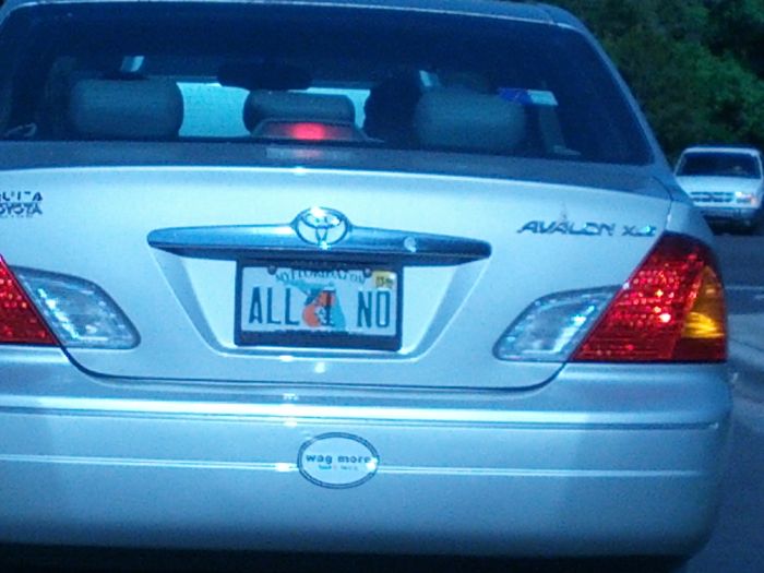 cool personalized license plates